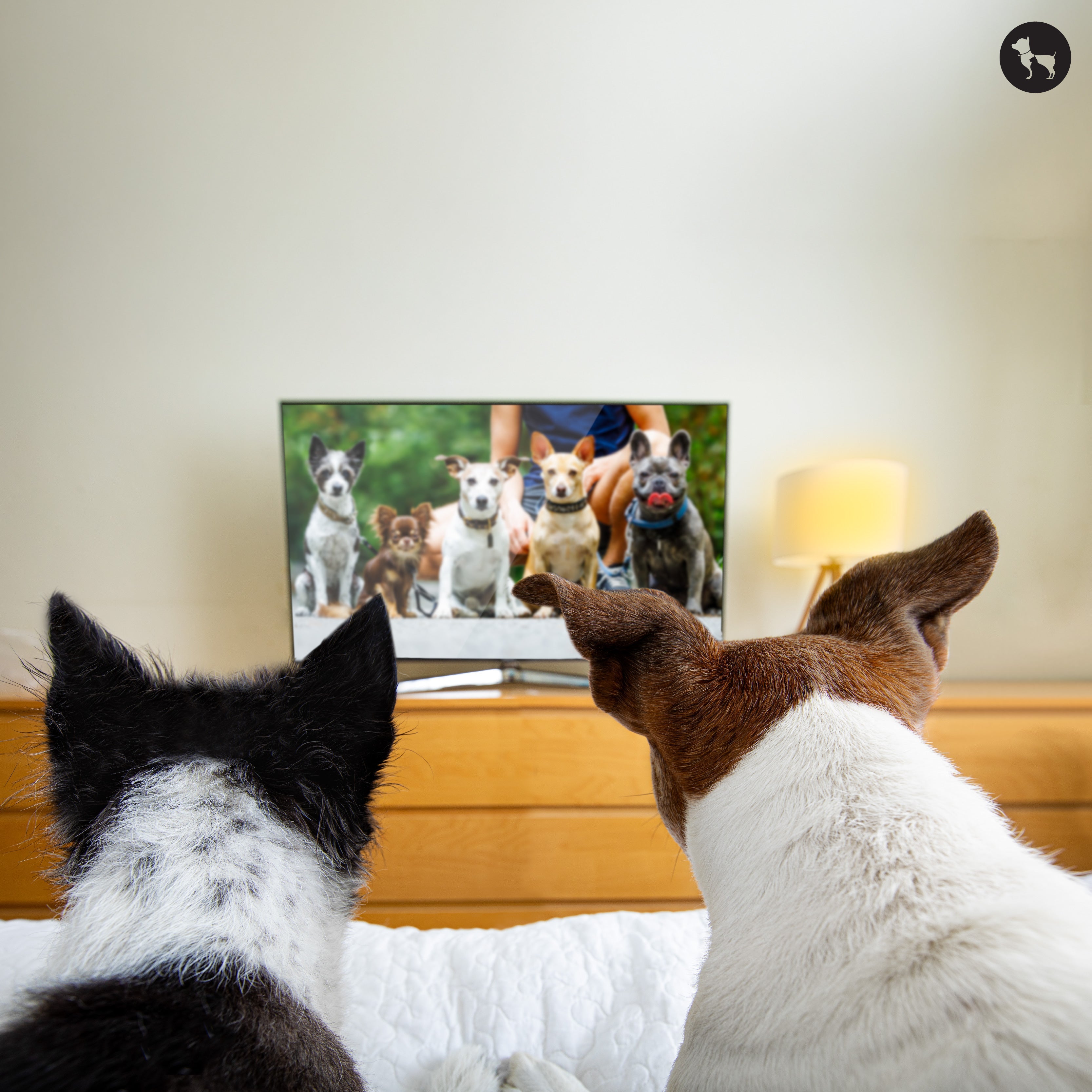 20 Best Dog Movies of All Time