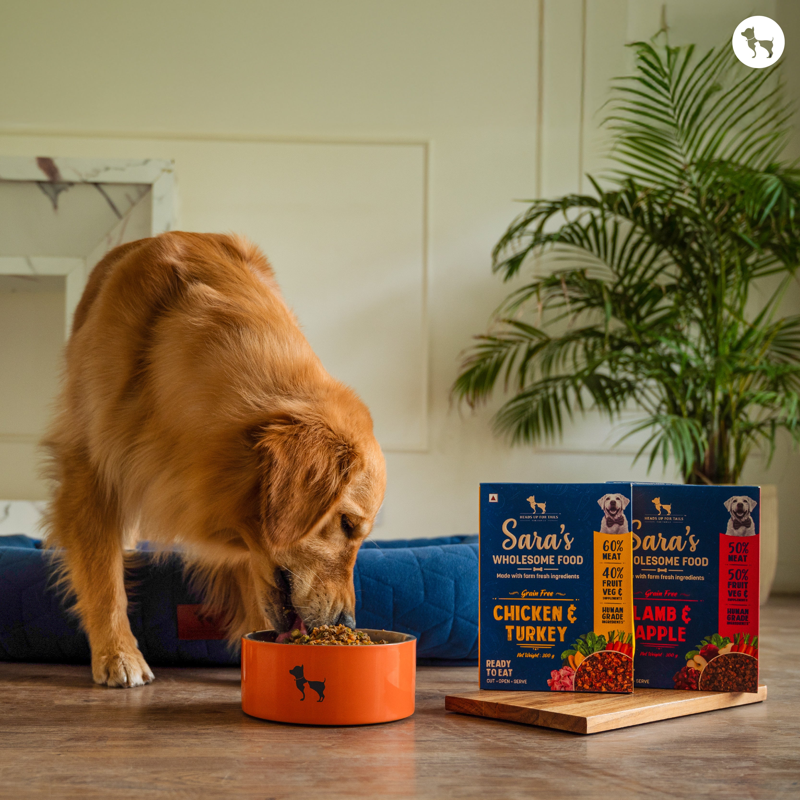 Serve Your Pet a Protein-Rich, Balanced Diet with Sara’s Wholesome Food