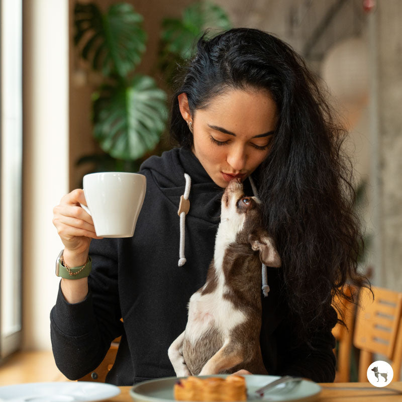 pet-friendly-cafes-mumbai