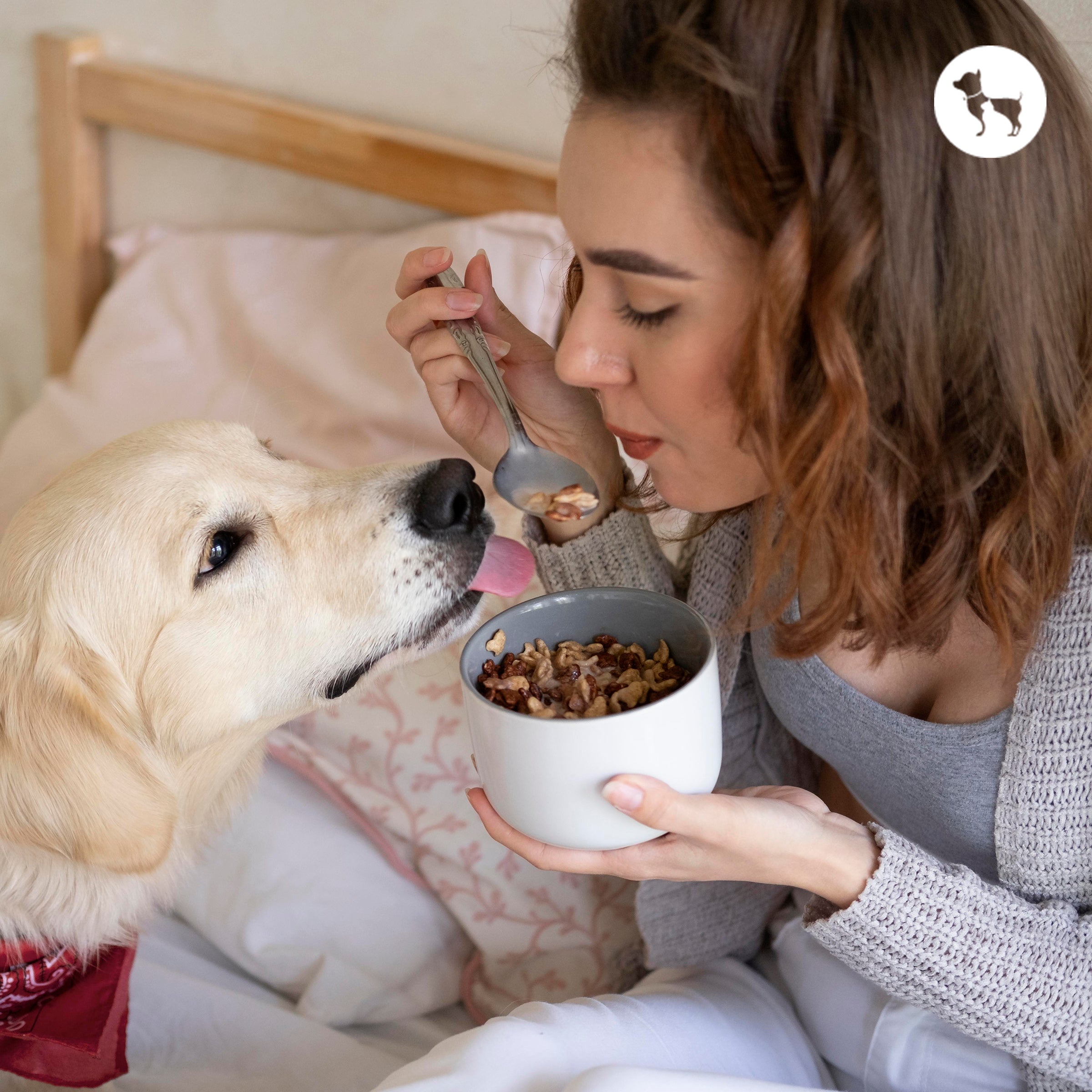 Best Winter Foods for Dogs