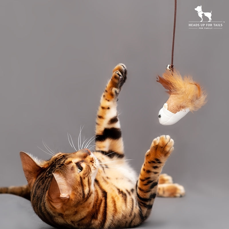 cat playing toy