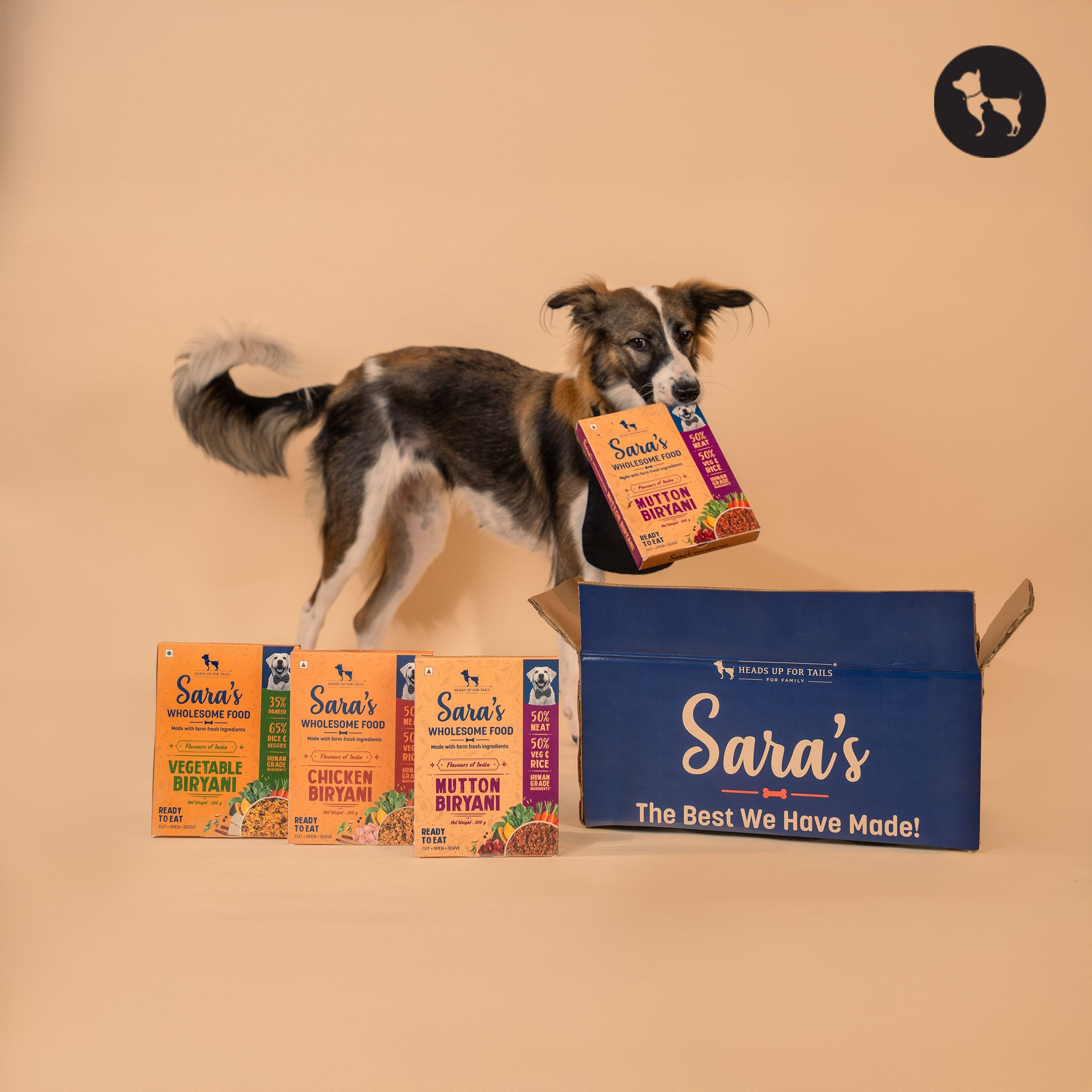 Common Dog Health Issues & How the Right Diet Can Prevent Them