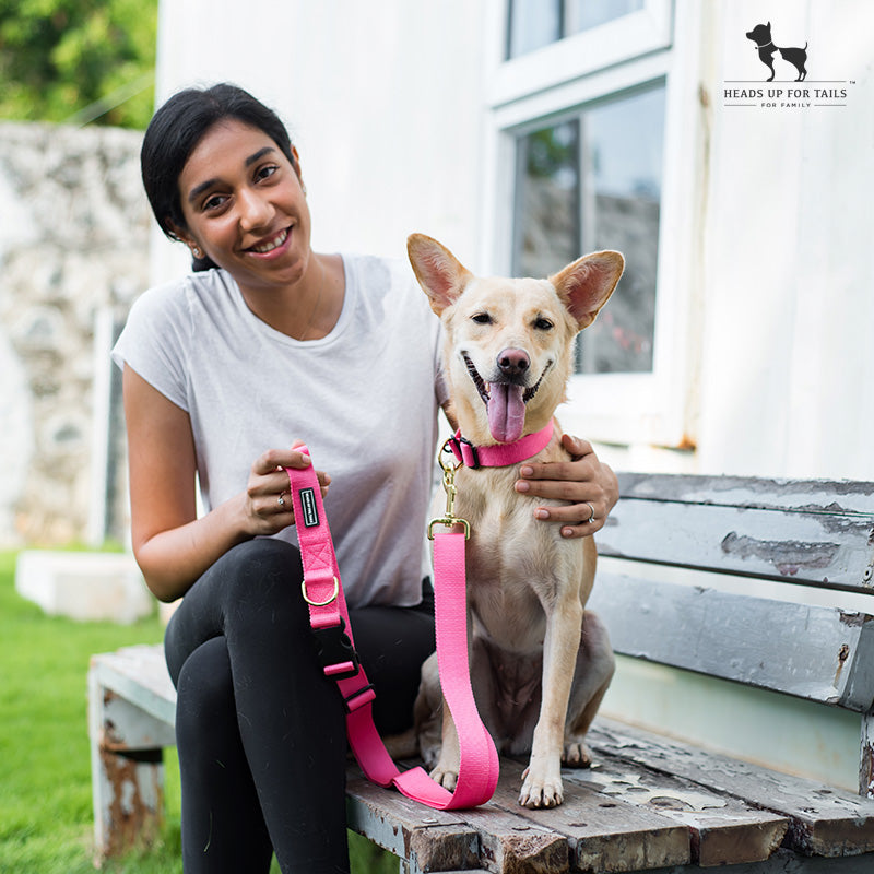 Dog in collar with parent