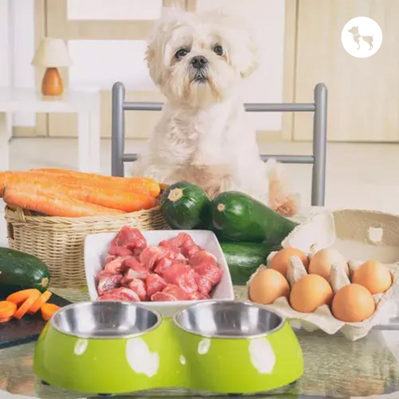 High-Protein Meals for Active Dogs