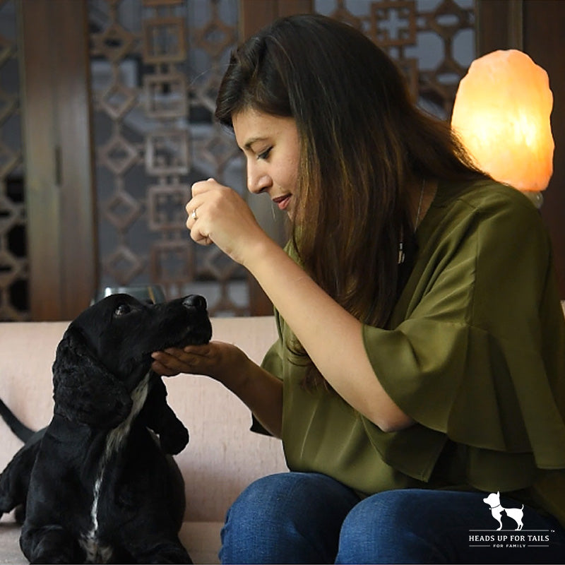 Reasons Why Every Dog Needs Training With Shirin Merchant