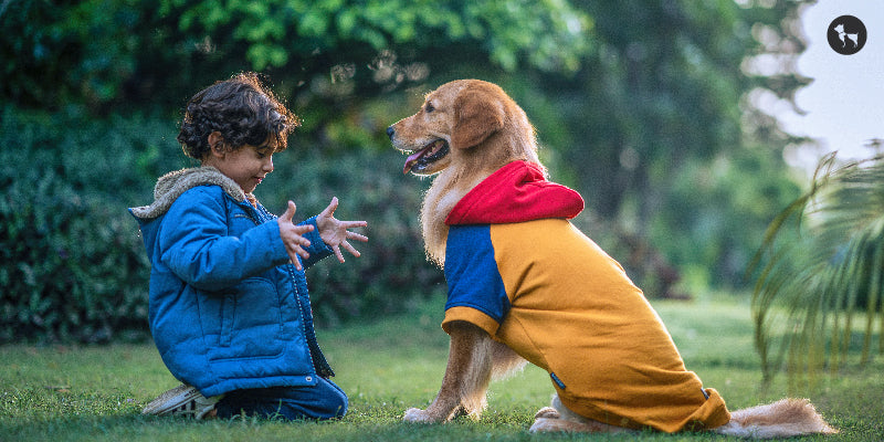 Winter-Ready Pups: A Guide to Dog Jackets, Sweaters, and Sweatshirts