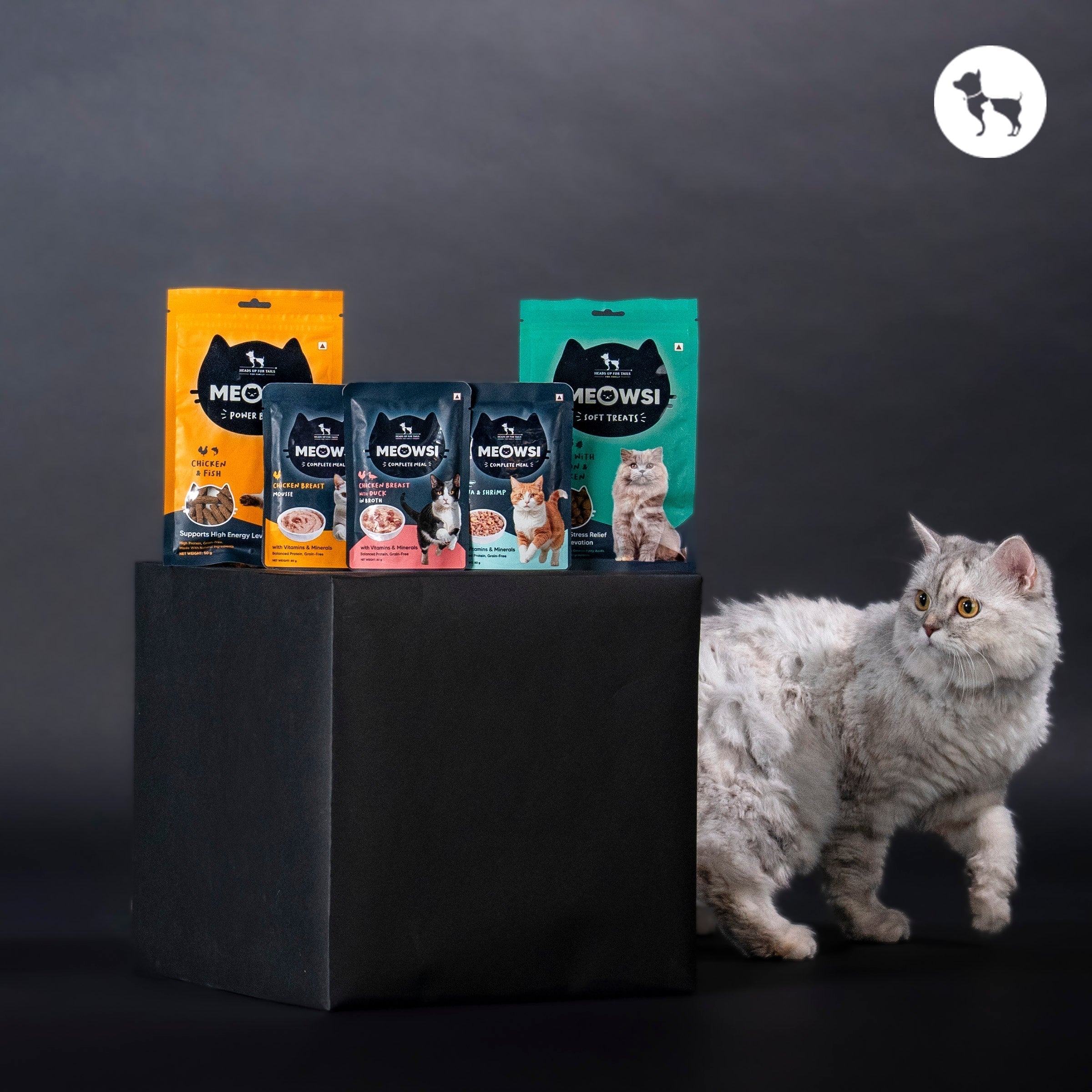 Meowsi: A Cat-First Nutrition Philosophy Every Cat Parent Should Know