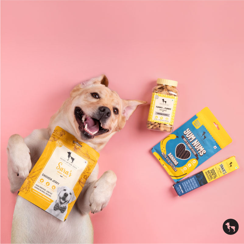 Soft/Chewy vs. Crunchy Treats