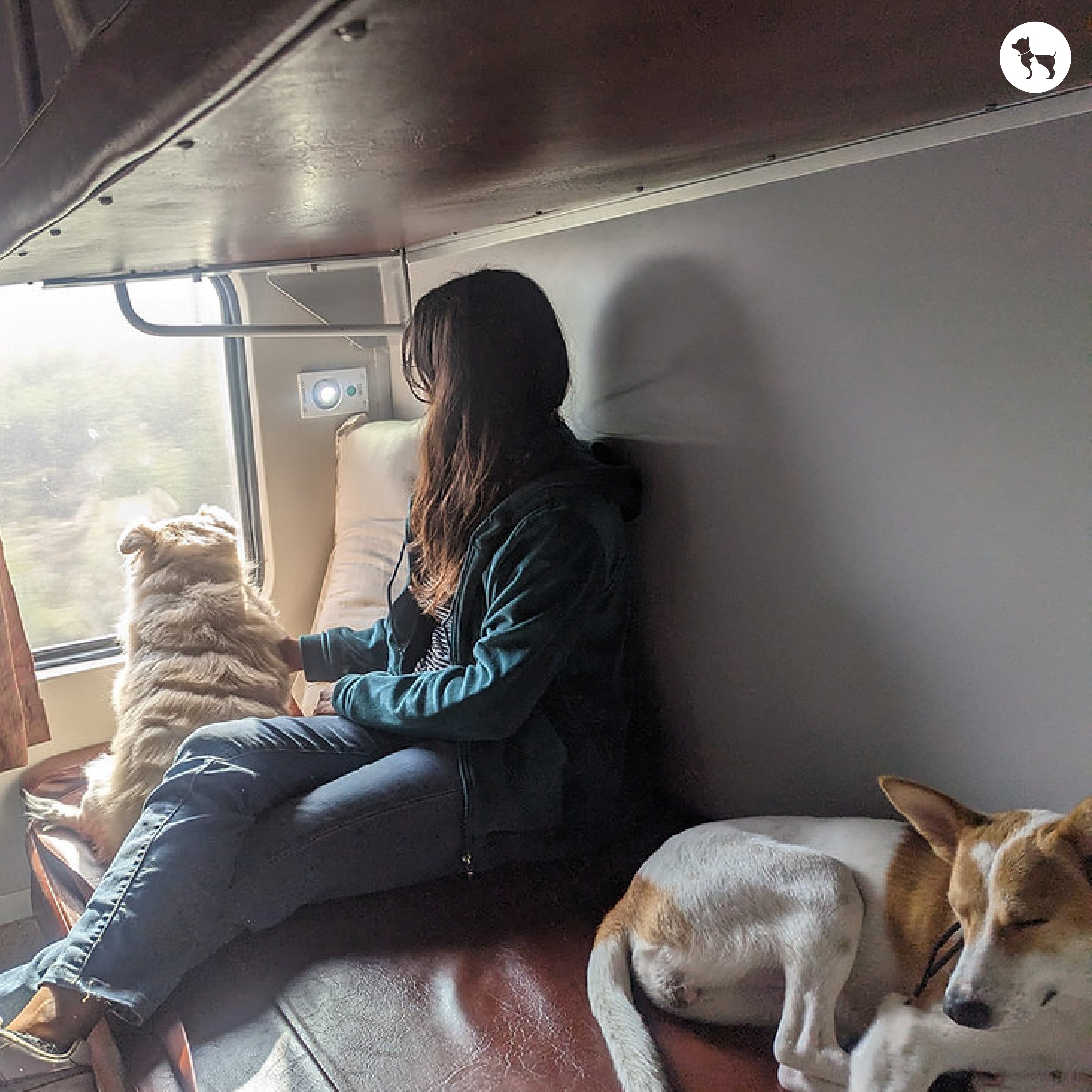 Travelling with Your Dog via Indian Railways
