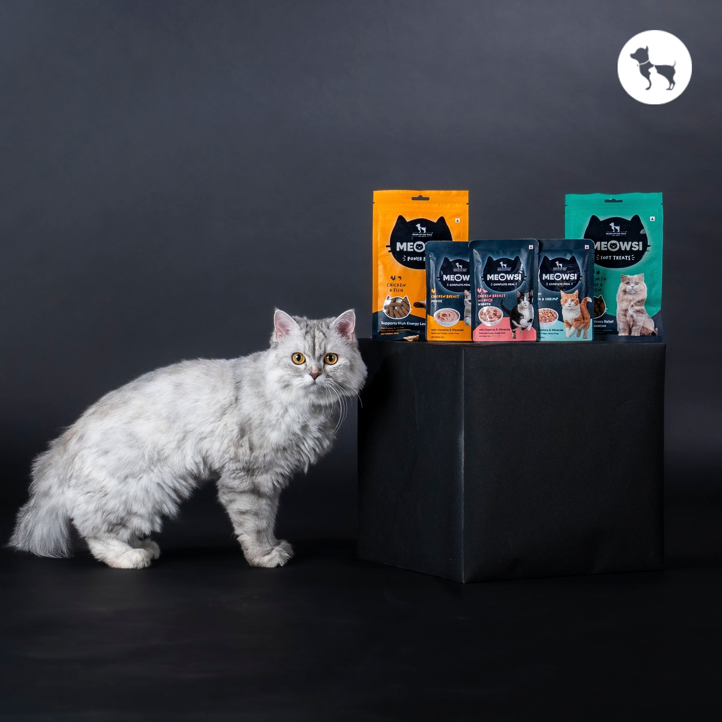 Wet vs Dry Cat Food: Which Meowsi Formulas Should You Pick & Why?