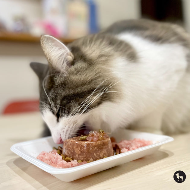wet cat food with proper levels of taurine and l-carnitine Why Your Cat's Must Have Size:100ml Derived from the mortierella Hair loss treatments that The Beauty Break