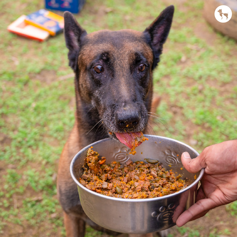 Enhancing Your Pet's Meal with a Food Topper