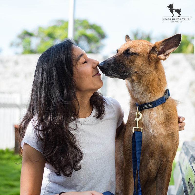 dog training with love