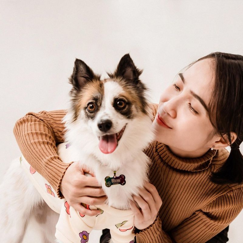 What Makes a Dog Family Friendly? Breeds That Check Every Box