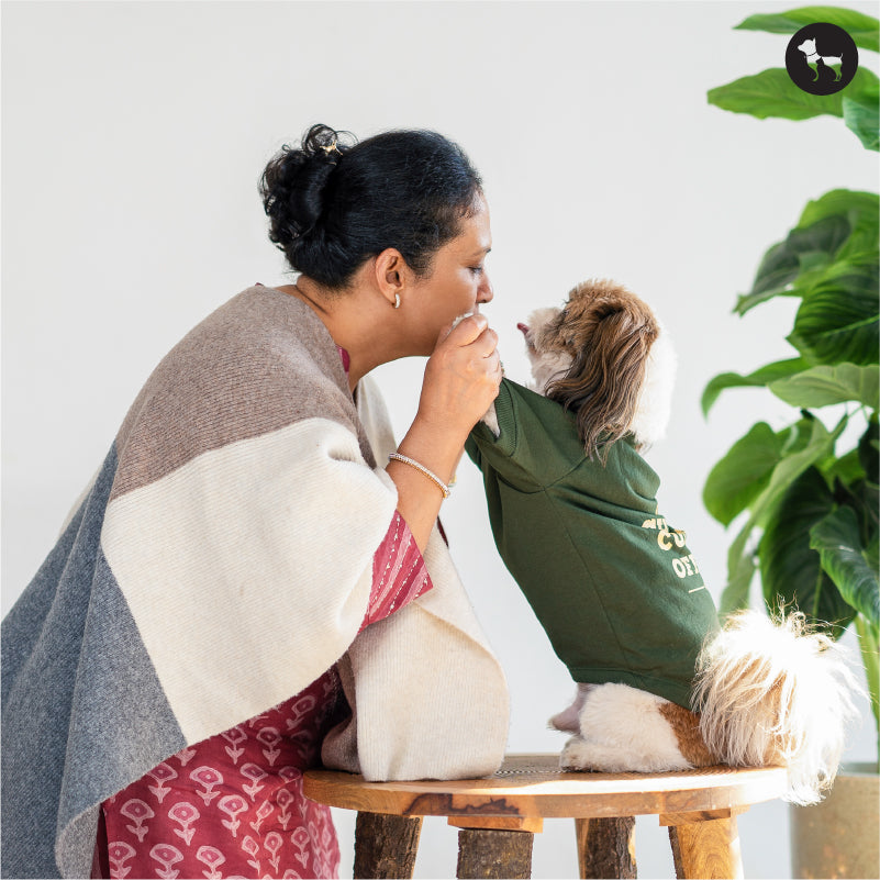 Winter Dog Grooming Advice: Ensuring Your Furry Companion's Health and Happiness