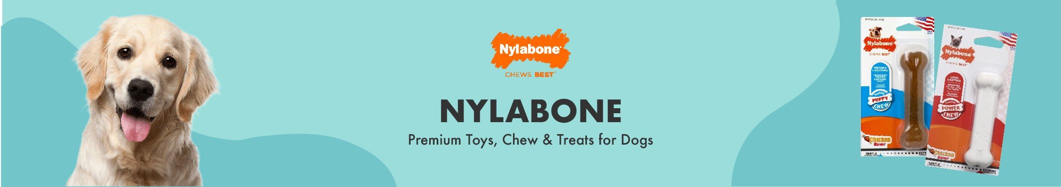 Nylabone Power Chew Wishbone - Durable Dog Chew Toy