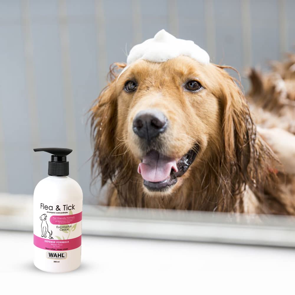 Wahl Flea & Tick Shampoo For Dog - Eucalyptus Cedar - 300 ml - Heads Up For Tails