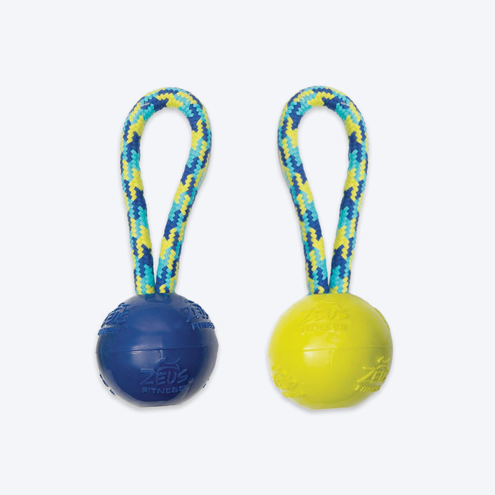 Zeus Fitness TPR & Rope Ball Tug Fetch Dog Toy - Green/Blue_01