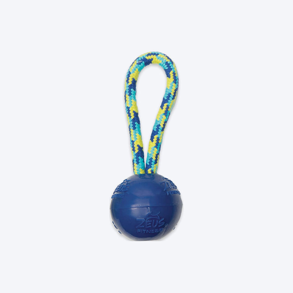 Zeus Fitness TPR & Rope Ball Tug Fetch Dog Toy - Green/Blue - Heads Up For Tails