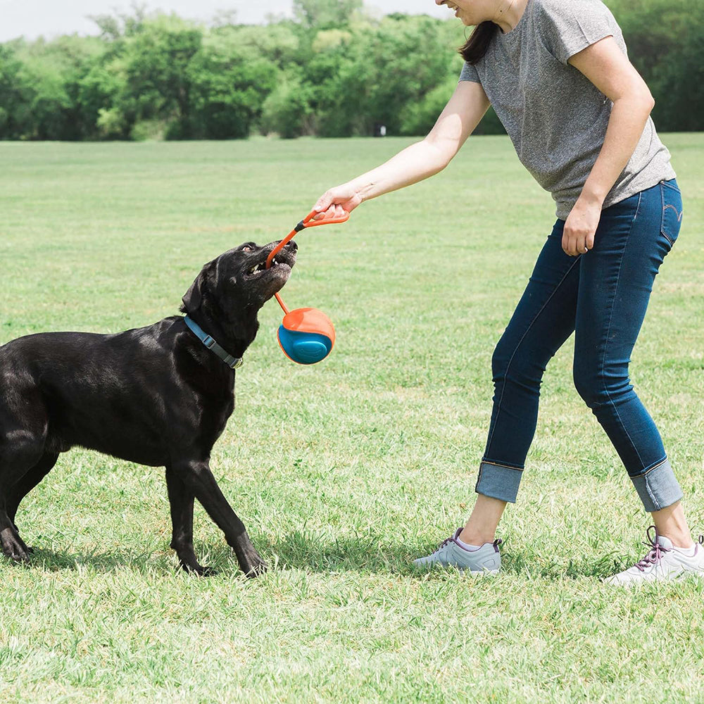 Chuckit! Rope Fetch Dog Toy - Orange & Blue - Heads Up For Tails