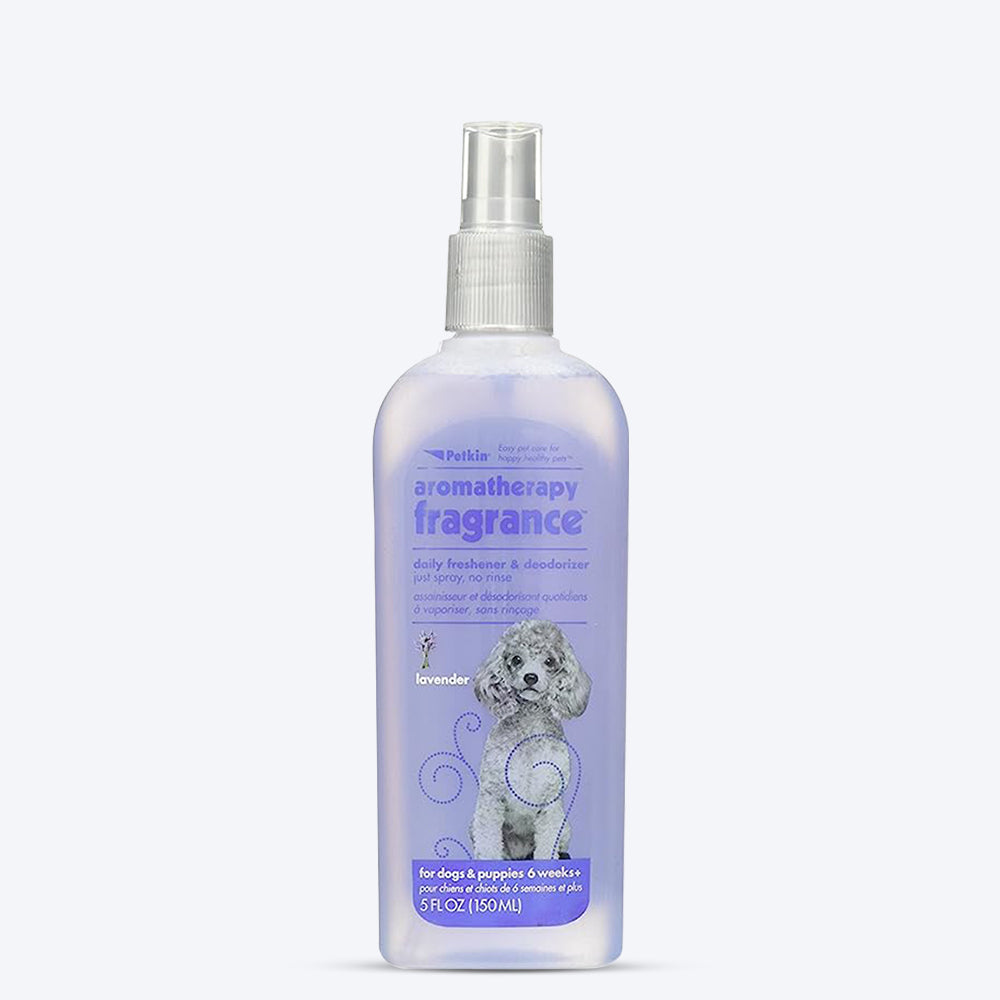 Aromatherapy on sale dog shampoo