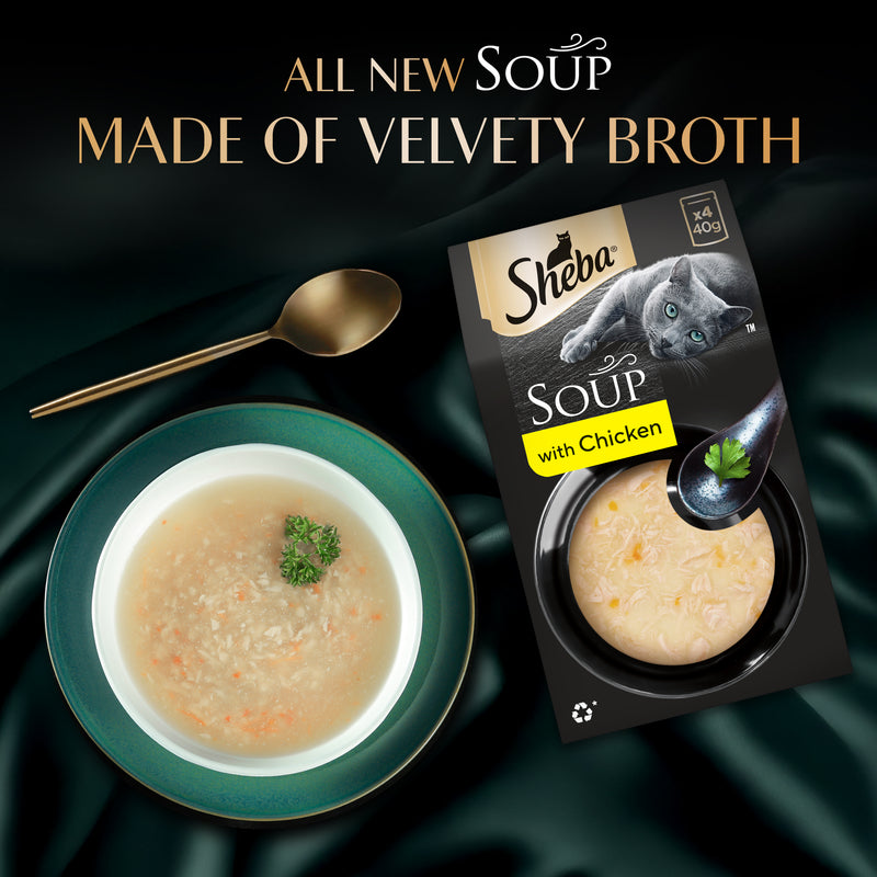 Sheba Soup With Chicken Wet Food For Cat - 40 gm x 4 pcs - Heads Up For Tails