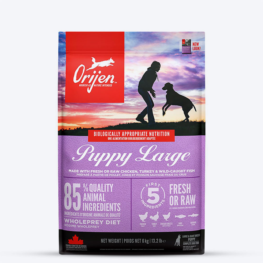 Orijen Grain Free Large Breed Dry Puppy Food_01