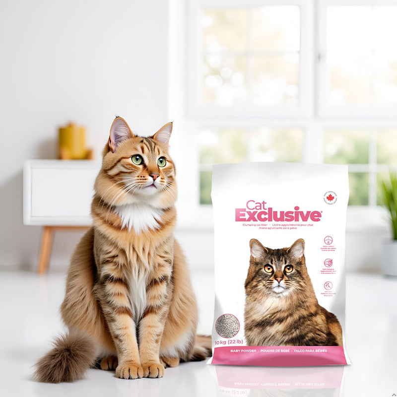 Intersand Cat Exclusive Clumping Cat Litter - Baby Powder - 10 kg