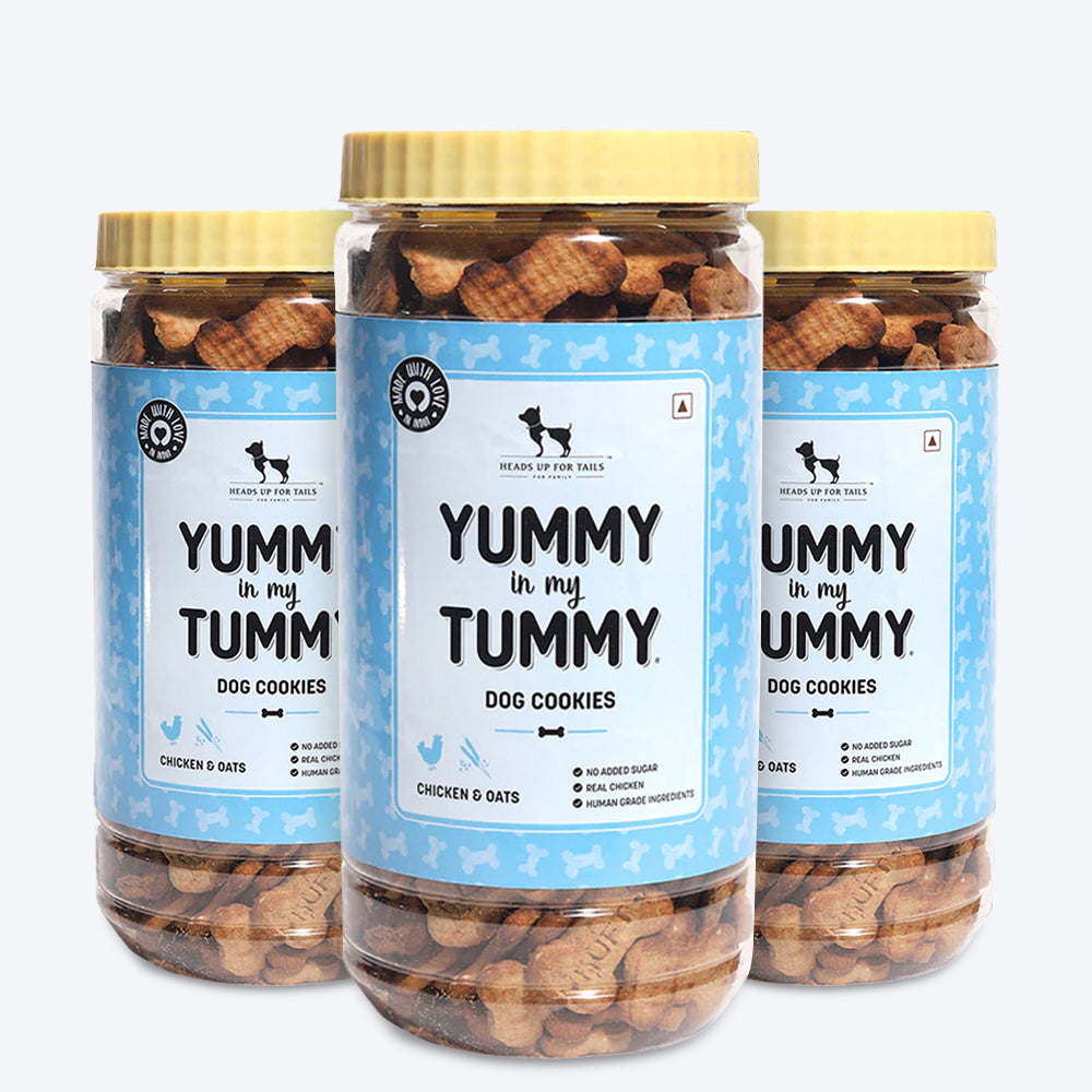HUFT YIMT Chicken & Oats Dog Biscuits - Heads Up For Tails
