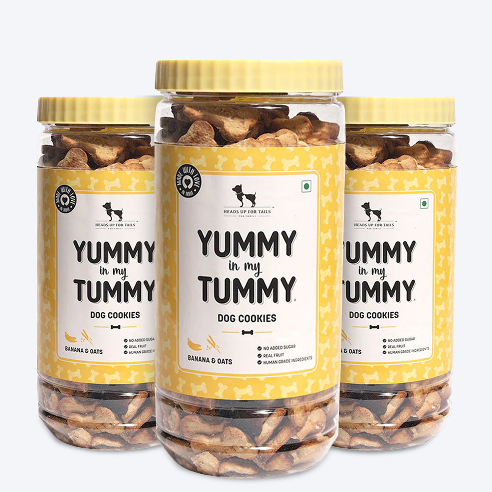 HUFT YIMT Banana & Oats Vegetarian Dog Biscuits - Heads Up For Tails