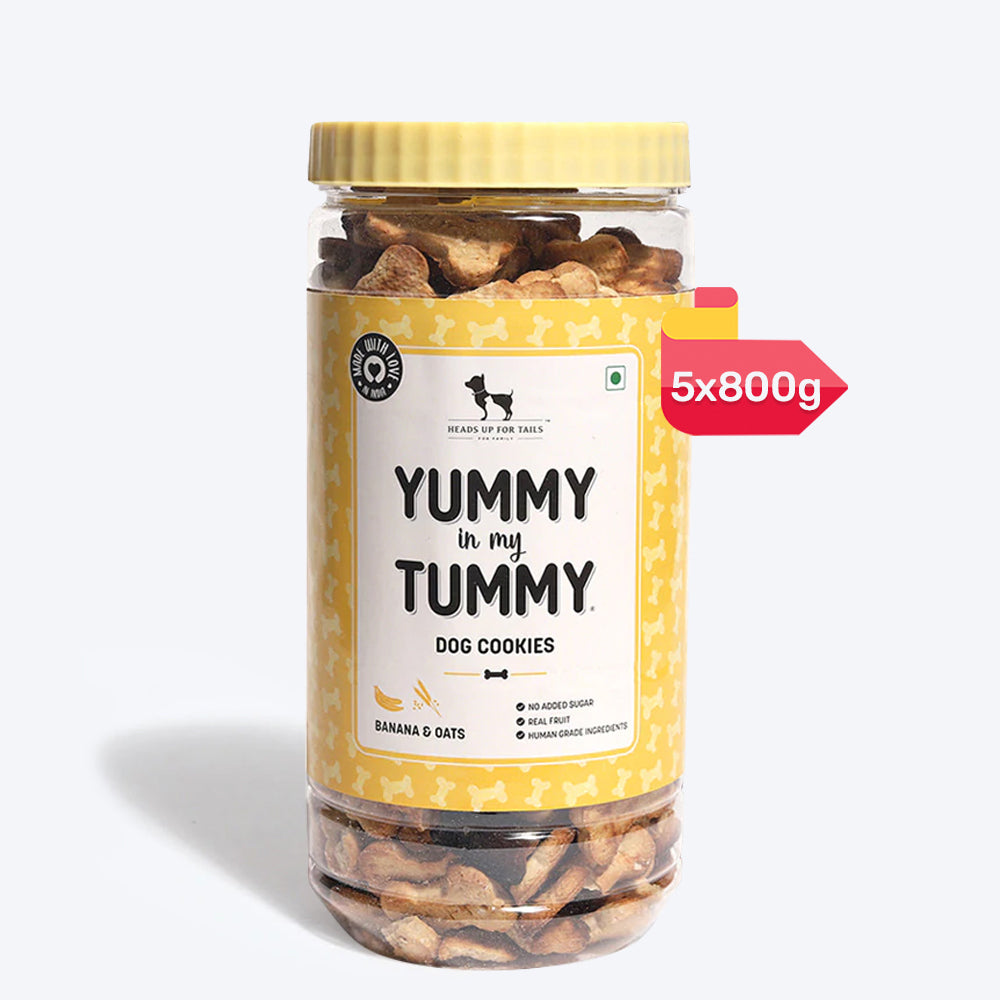 HUFT YIMT Banana & Oats Vegetarian Dog Biscuits - Heads Up For Tails