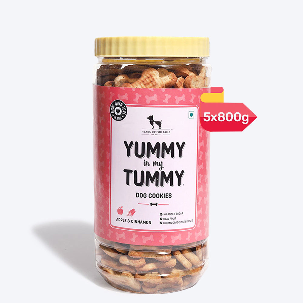 HUFT YIMT Apple & Cinnamon Vegetarian Dog Biscuits - Heads Up For Tails