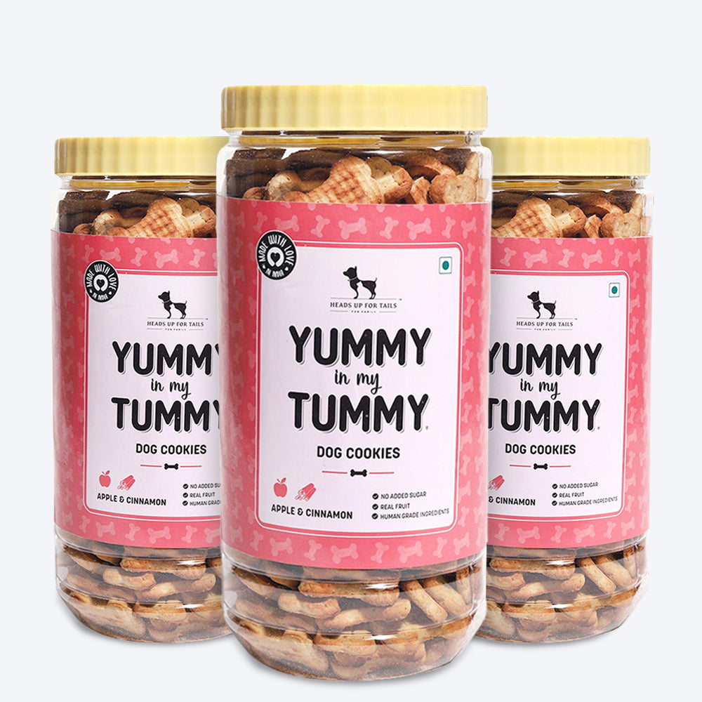 HUFT YIMT Apple & Cinnamon Vegetarian Dog Biscuits - Heads Up For Tails