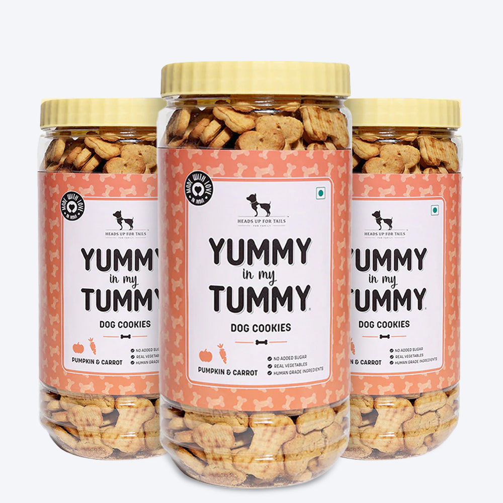 HUFT YIMT Pumpkin & Carrots Vegetarian Dog Biscuits - Heads Up For Tails