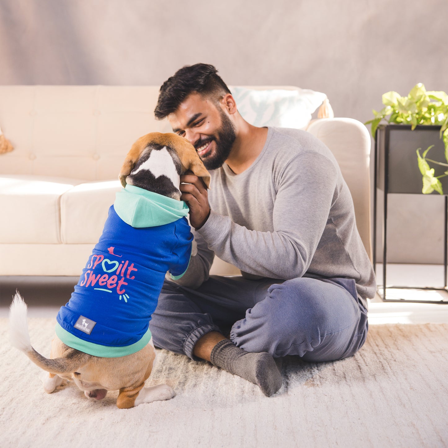 HUFT Spoilt Sweet Colour Block Hoodie Pet Sweatshirt - Navy Blue - Heads Up For Tails