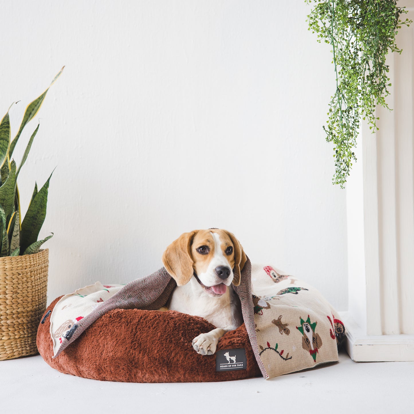 HUFT Snuggle Sphere Donut Bed For Dog & Cat - Brown - Heads Up For Tails