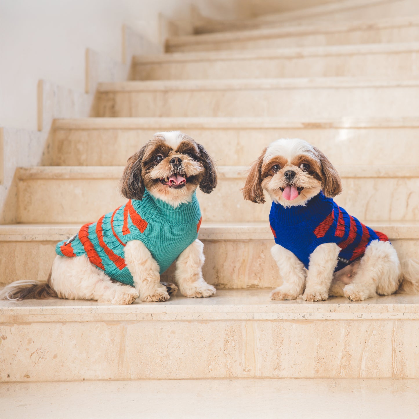 HUFT Snug Stripes Sweater For Dog - Turquoise Orange - Heads Up For Tails