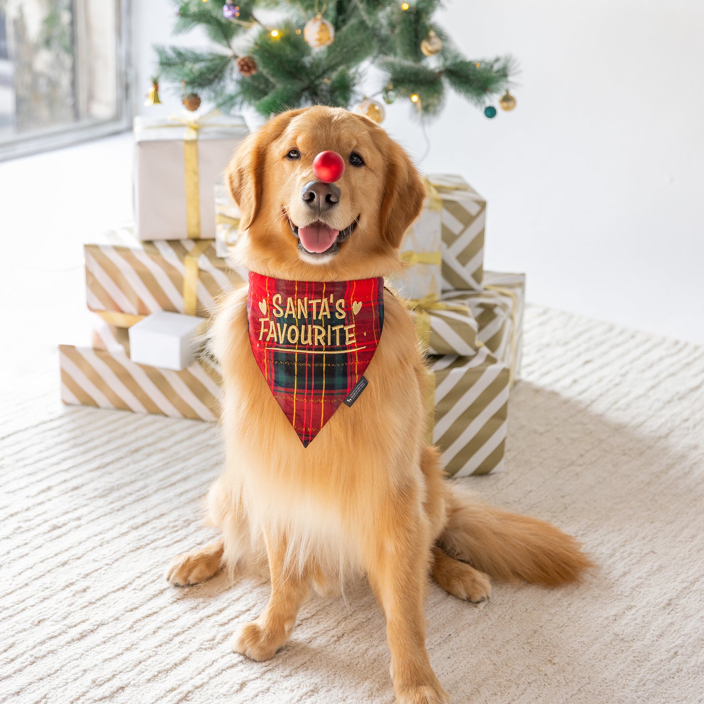 HUFT Santa's Favourite Bandana For Dog - Red - Heads Up For Tails