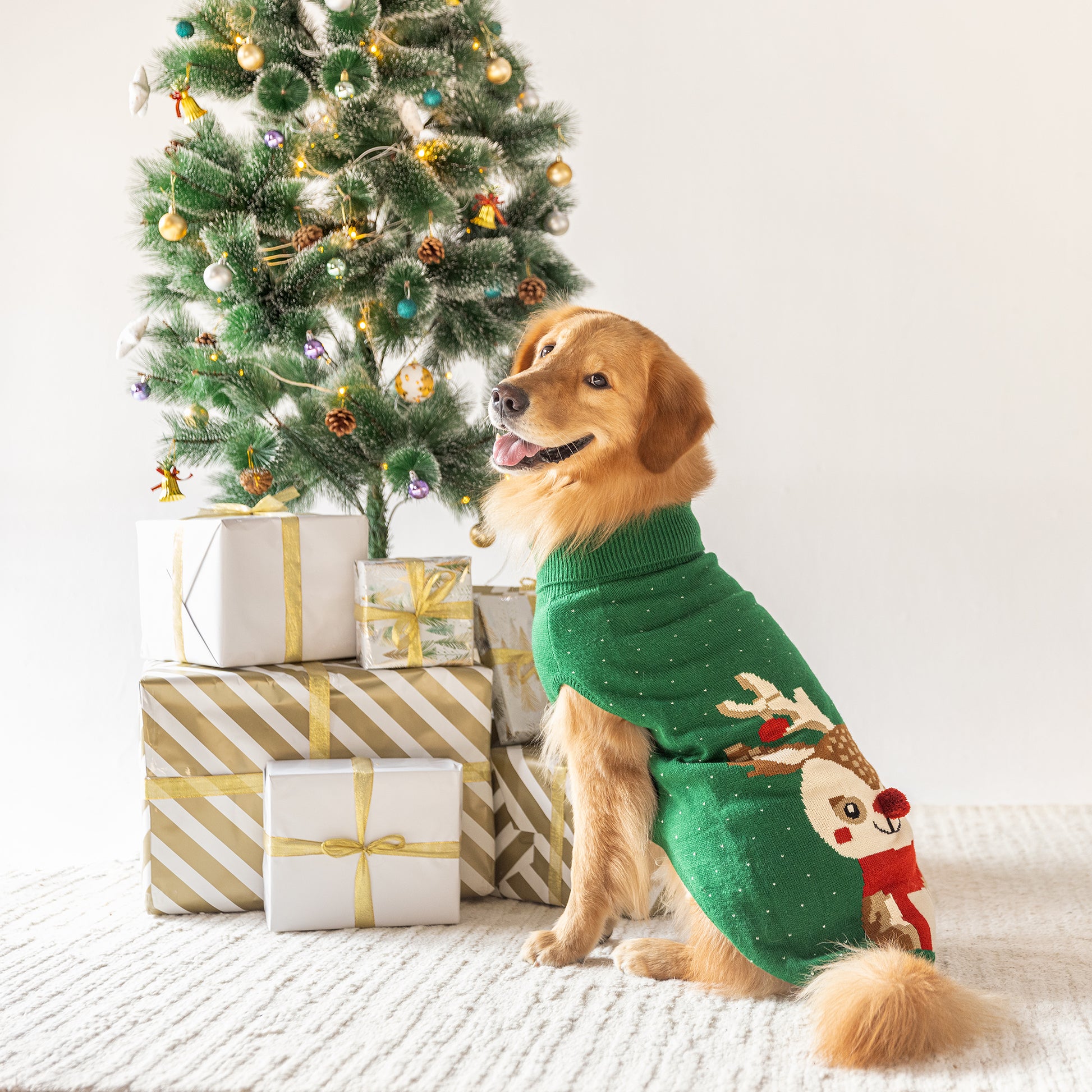 HUFT My Li'l Rudolph Sweater For Dog - Green - Heads Up For Tails