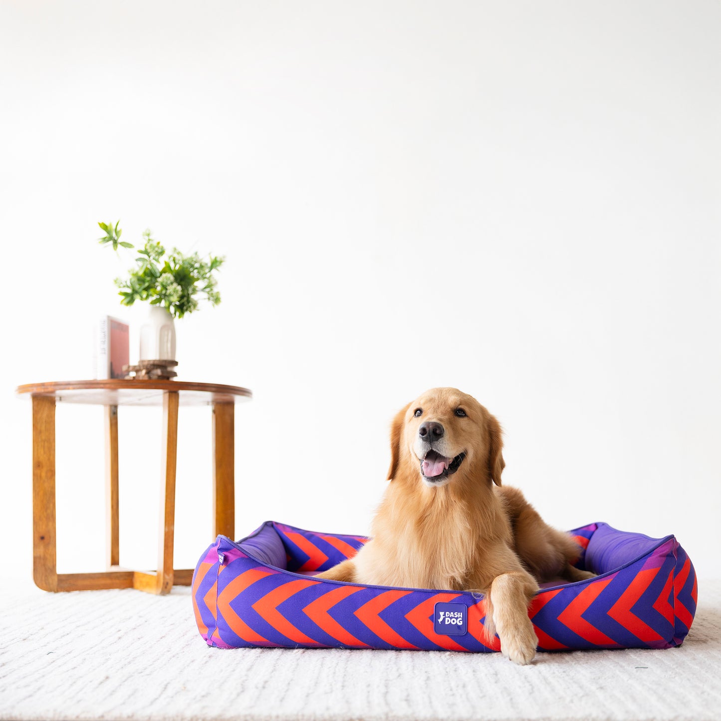 Dash Dog Chevron Water Repellent Lounger Dog Bed - Purple & Orange - Heads Up For Tails