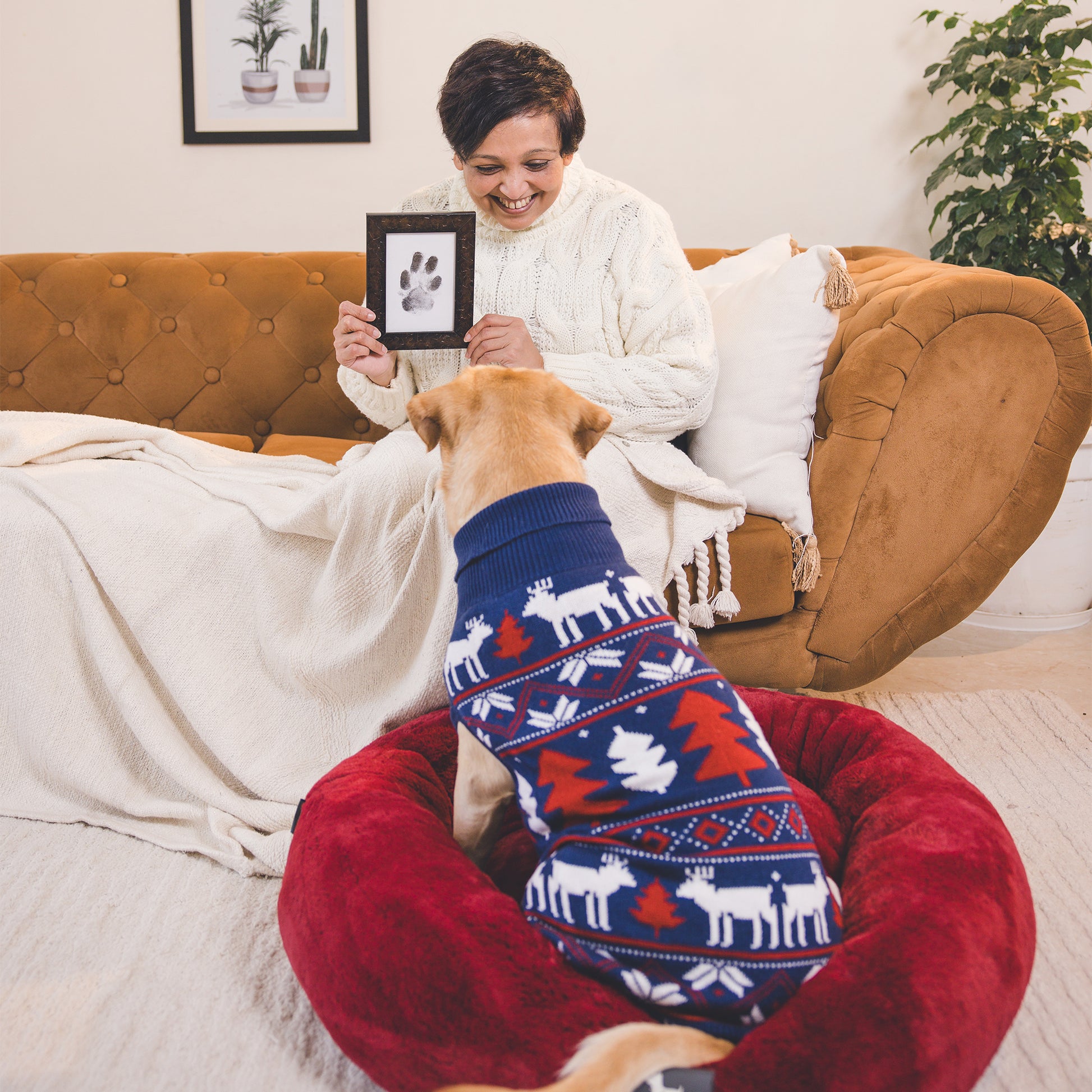 HUFT Snow Dashers Sweater For Dog - Navy Blue - Heads Up For Tails
