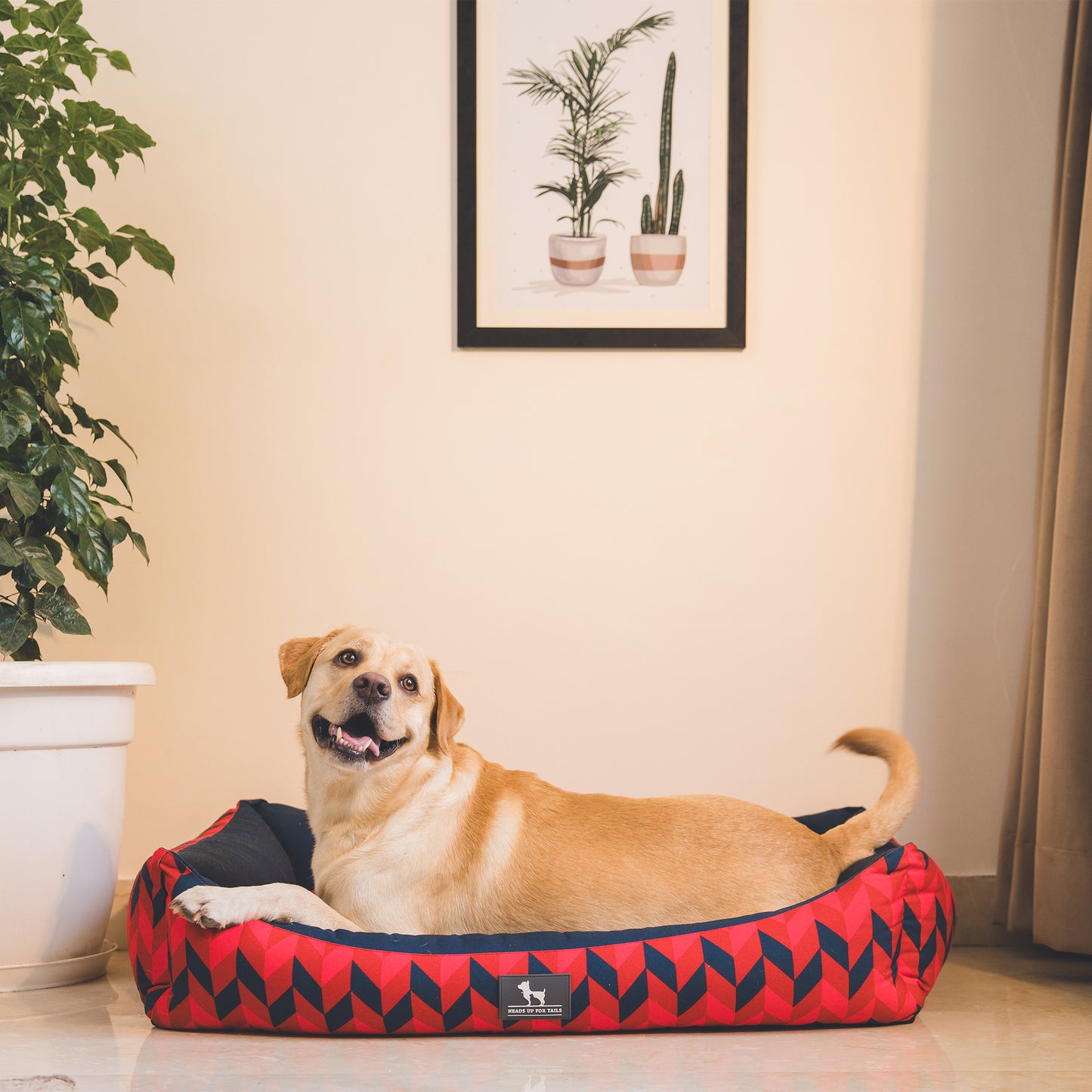 HUFT Geometric Groove Lounger Dog Bed - Red & Blue - Heads Up For Tails