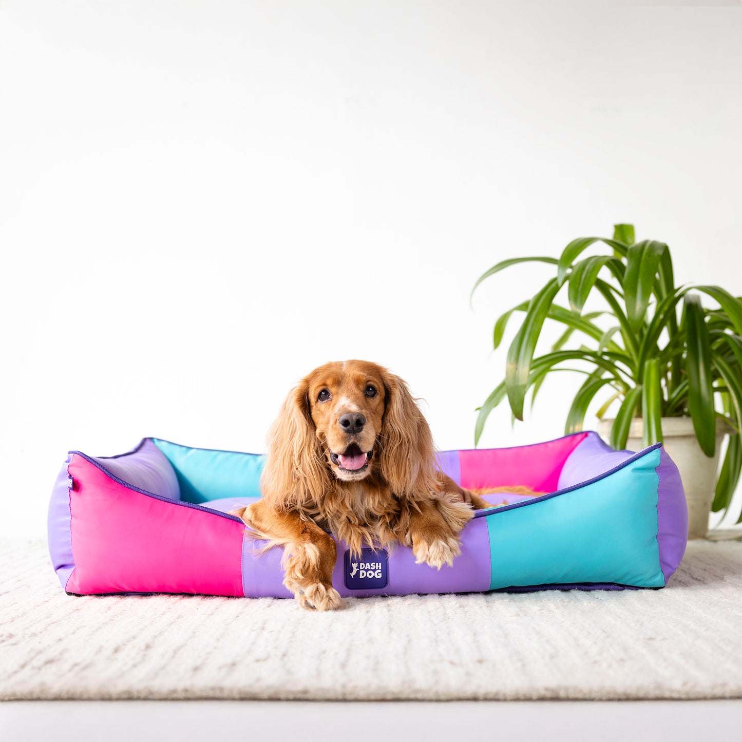 Dash Dog Color Cascade Water Repellent Lounger Dog Bed - Multicolor - Heads Up For Tails