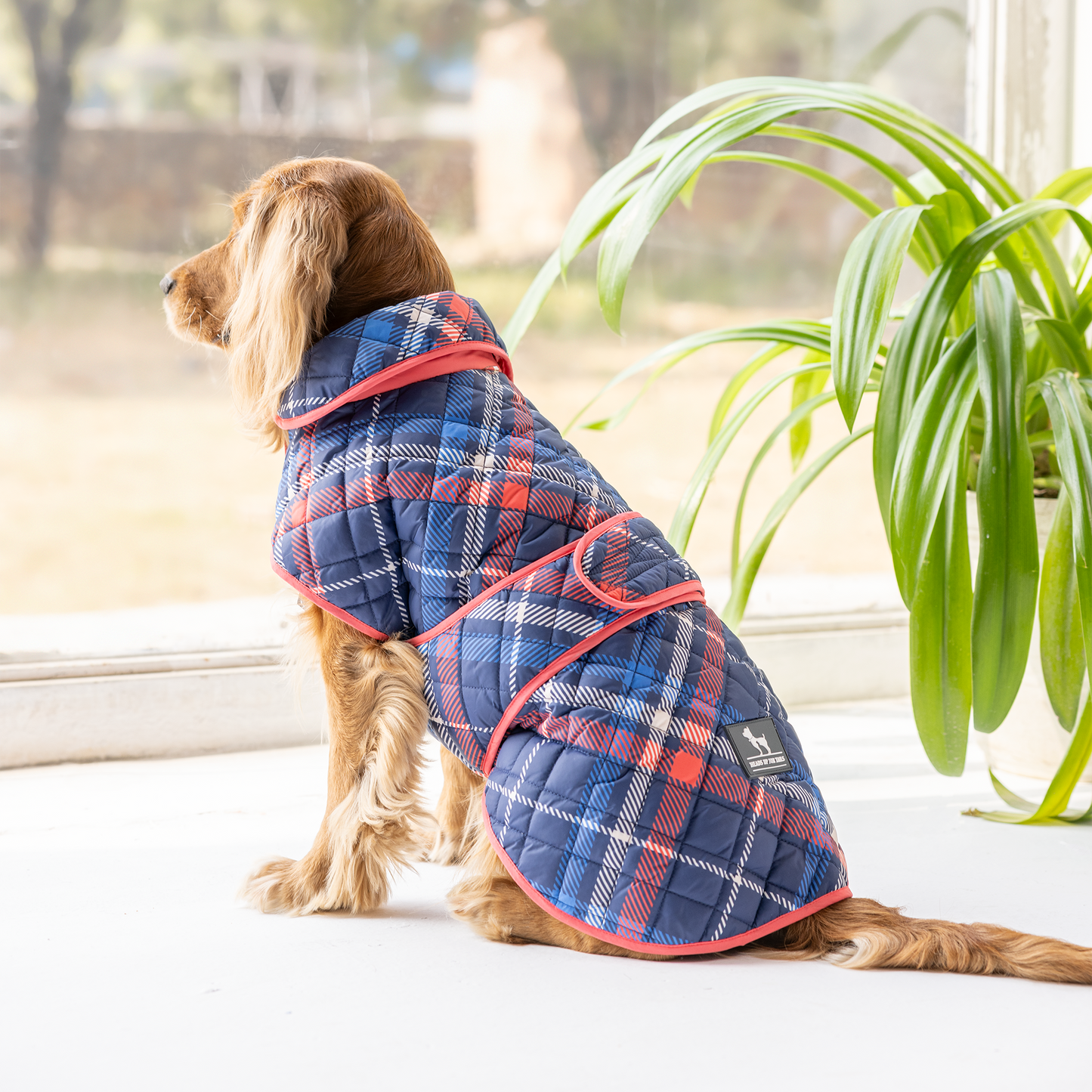 HUFT Grrberry Quilted Print Jacket For Dog - Blue & Coral - Heads Up For Tails