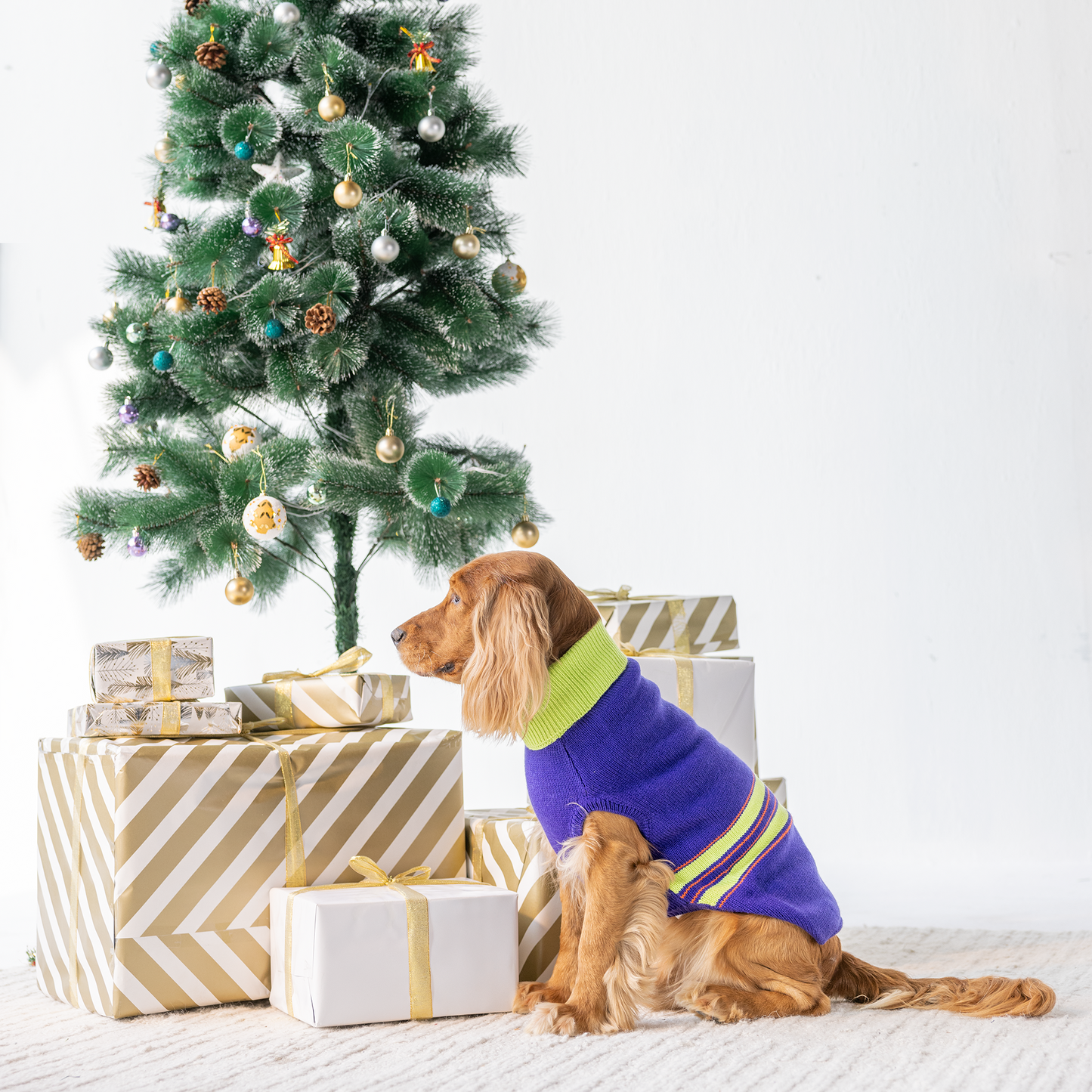 Dash Dog Winter Prism Sweater For Dog - Purple - Heads Up For Tails