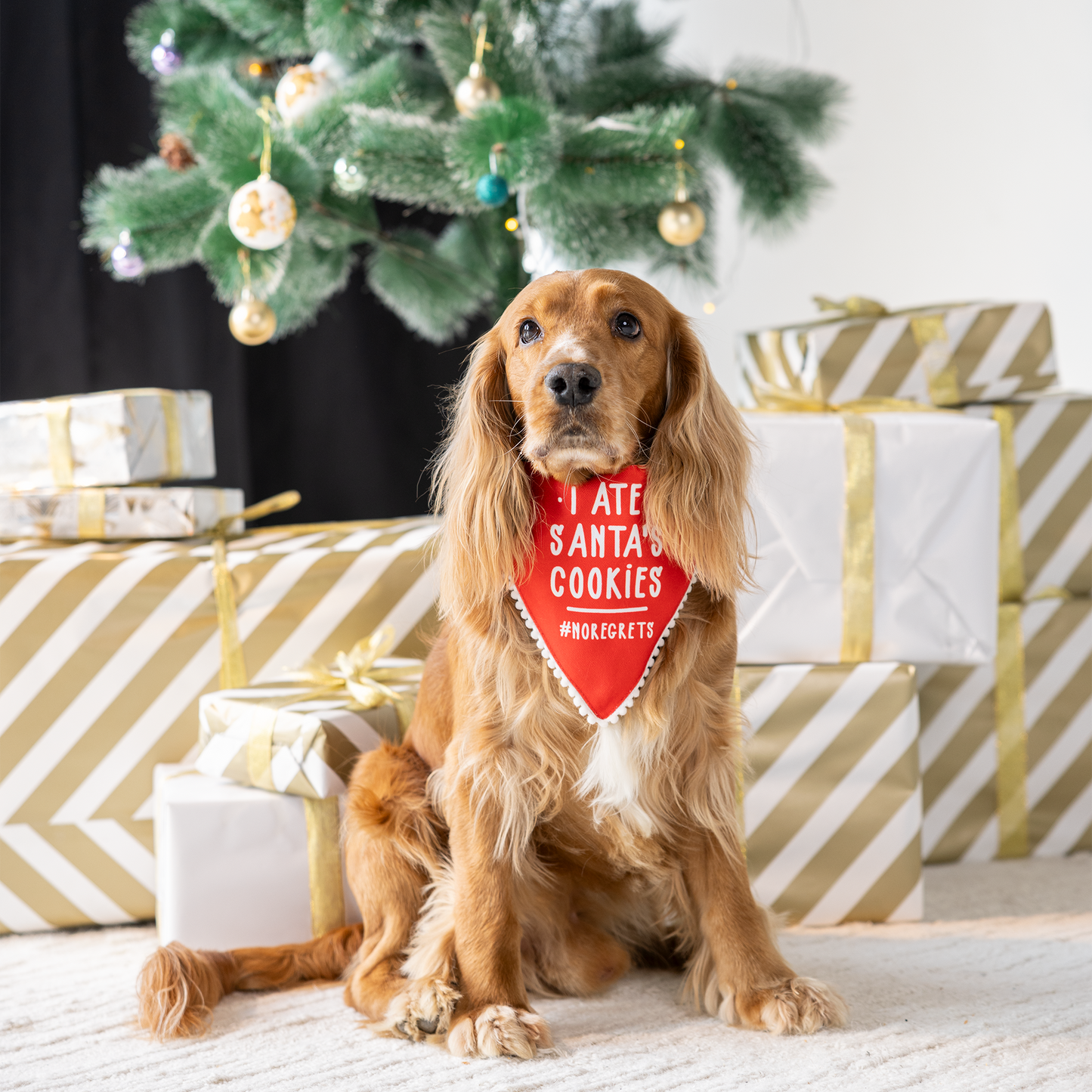 HUFT I Ate Santa's Cookies Bandana For Dog - Red - Heads Up For Tails