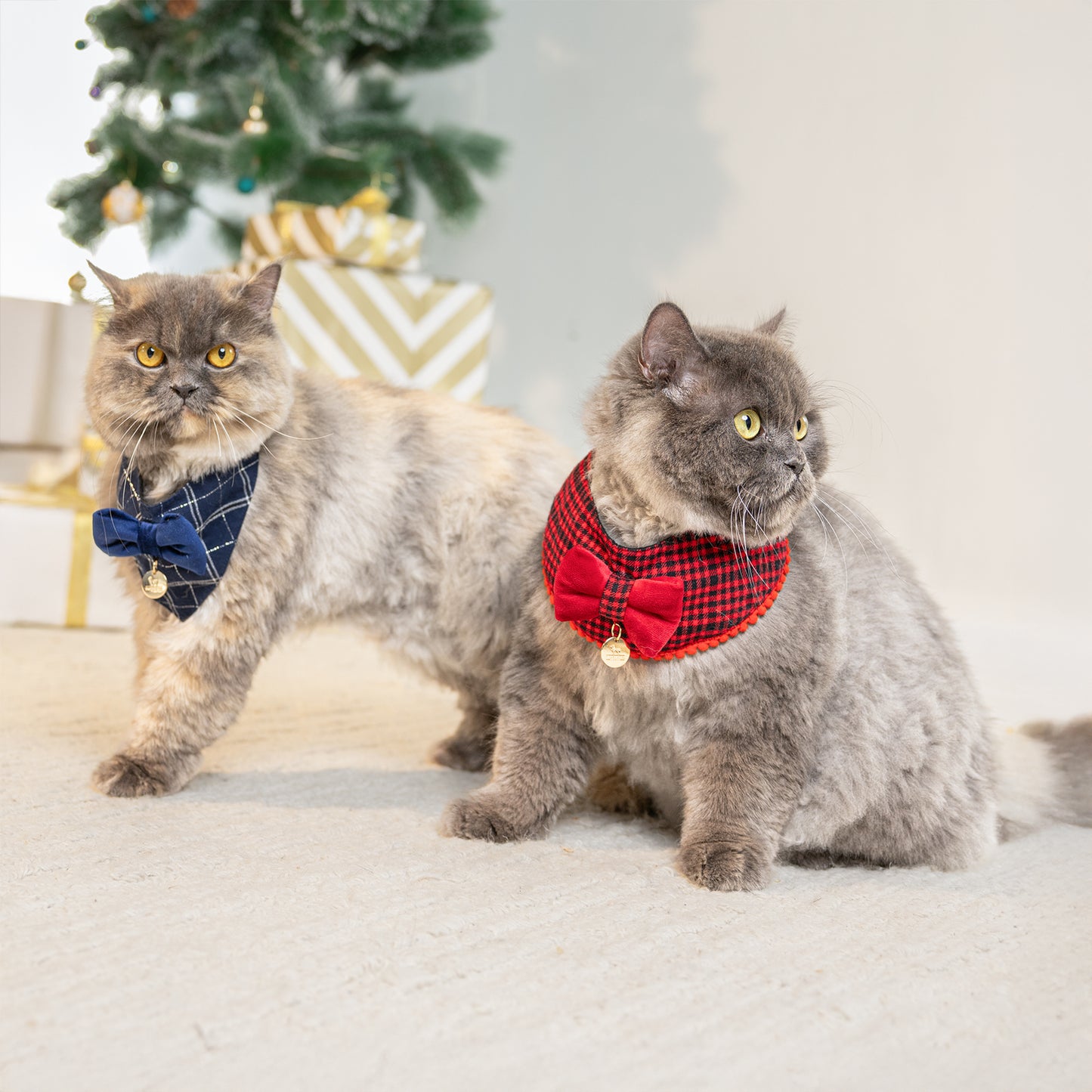 HUFT Tinsel Tails Scarf For Cat & Puppy - Red - Heads Up For Tails