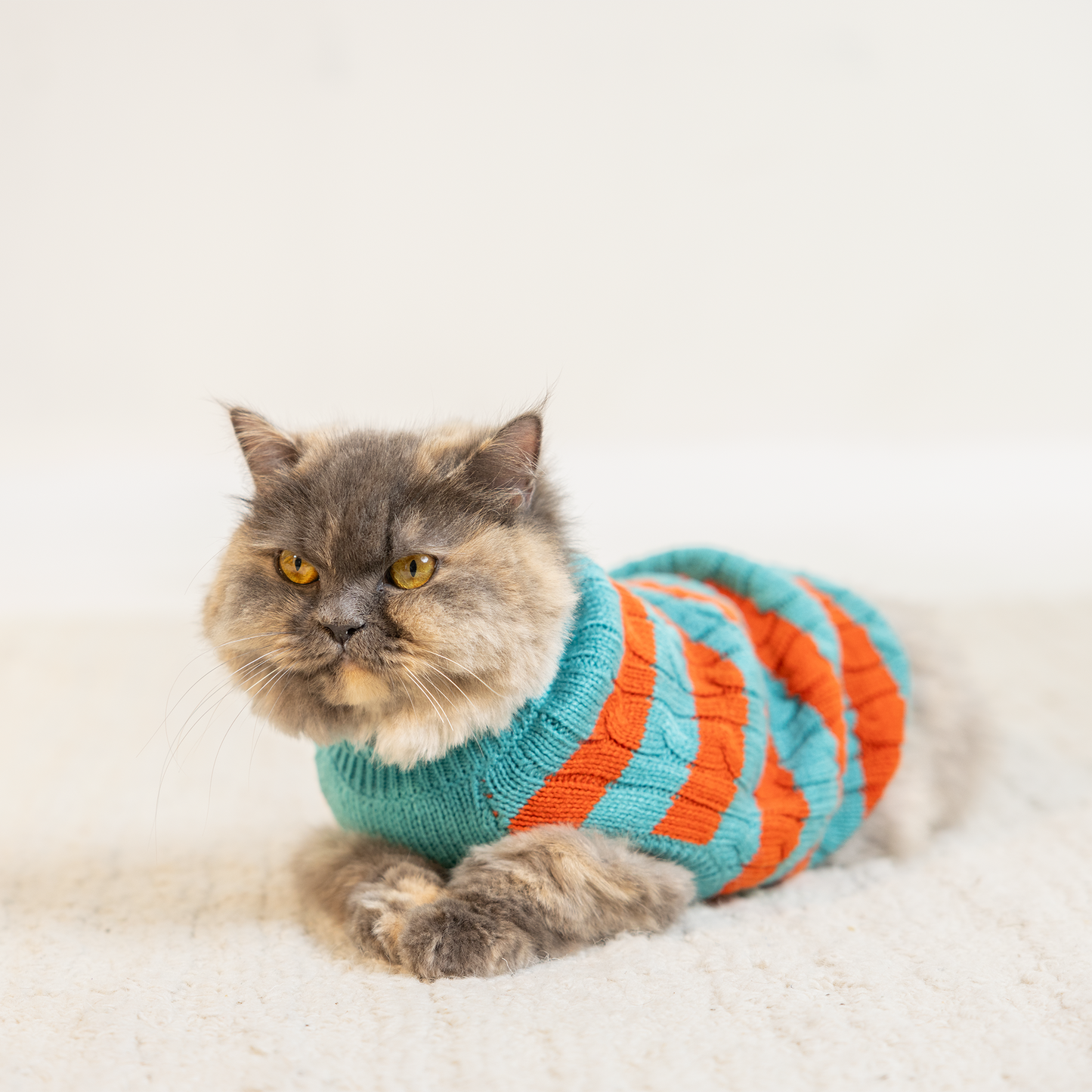 HUFT Snug Stripes Sweater For Cat - Turquoise & Orange - Heads Up For Tails