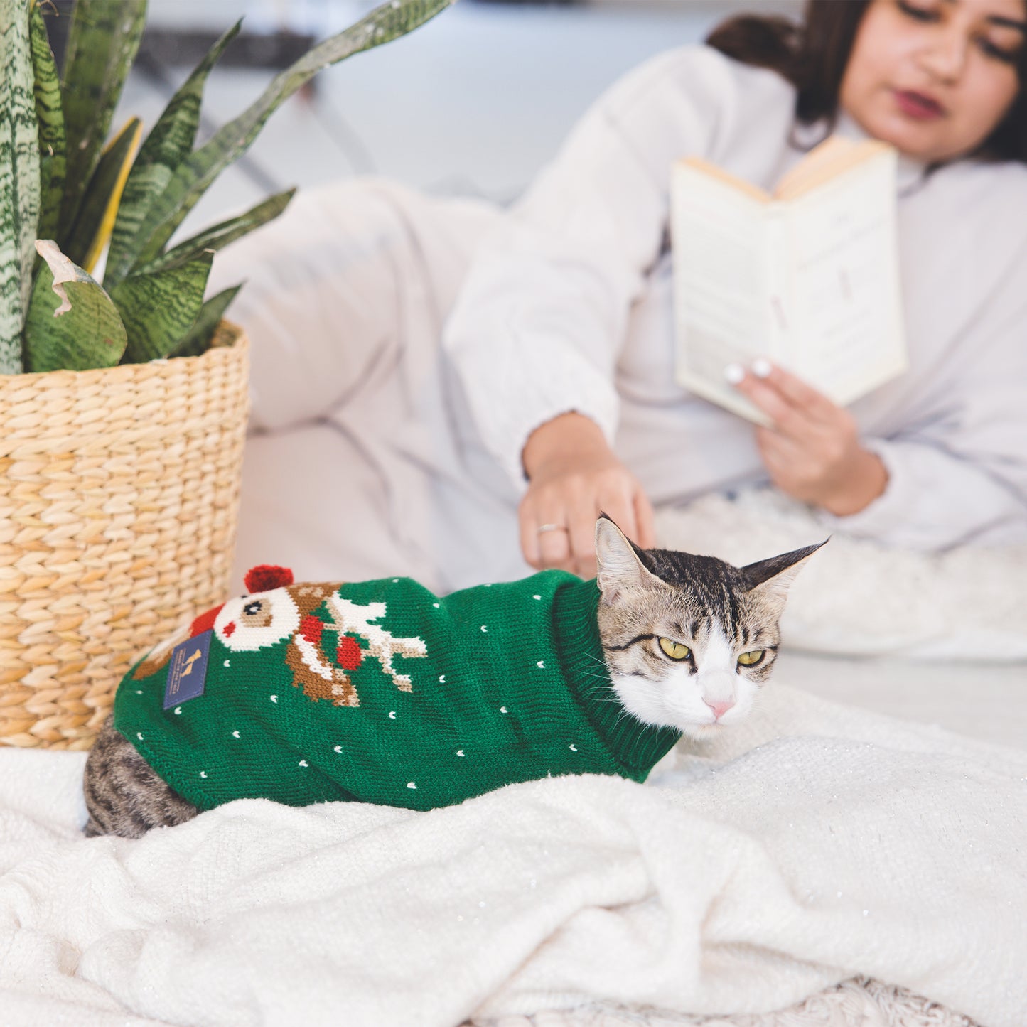 HUFT My Li'l Rudolph Sweater For Cat - Green_03