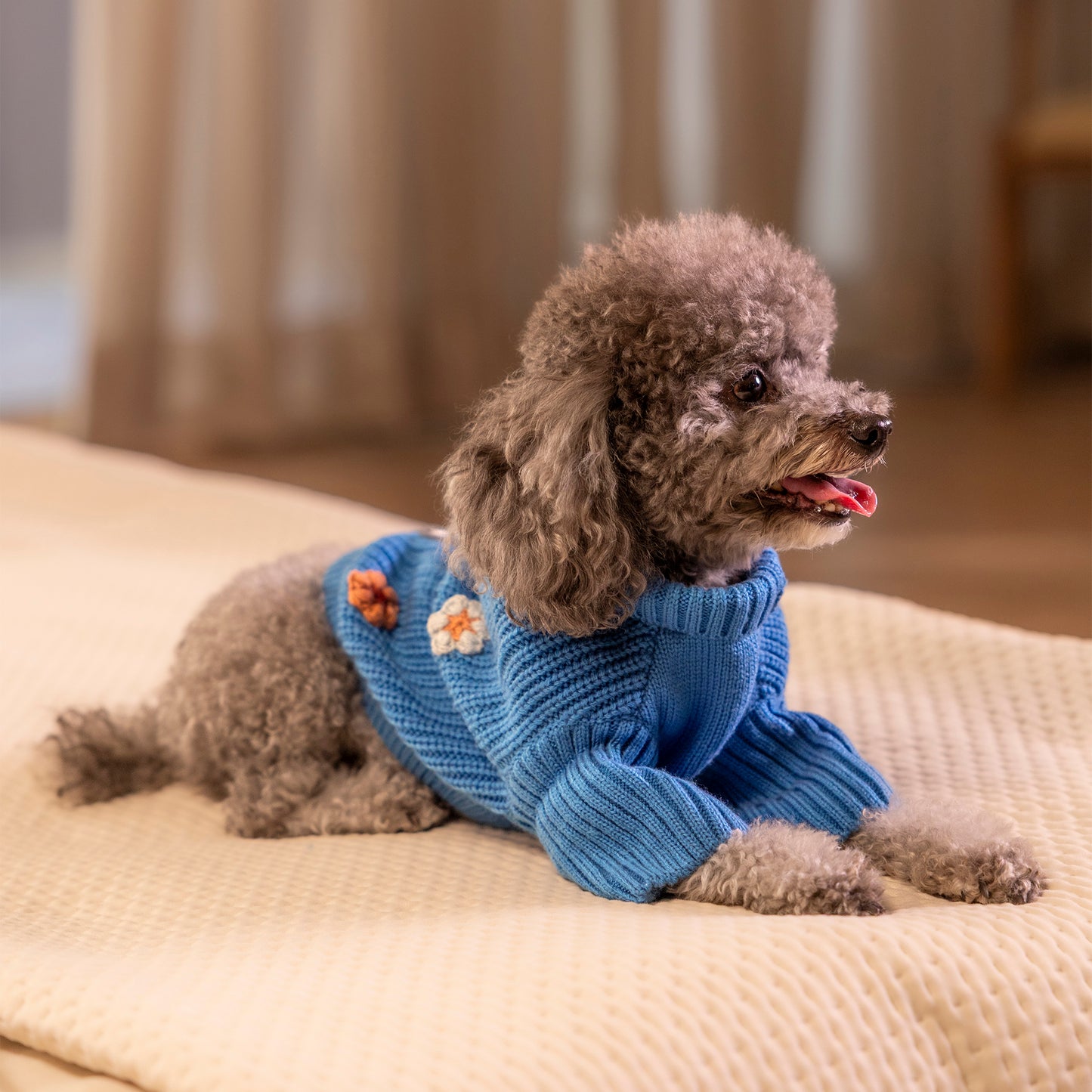 HUFT Frosty Flowers Sweater For Small Dog - Blue - Heads Up For Tails